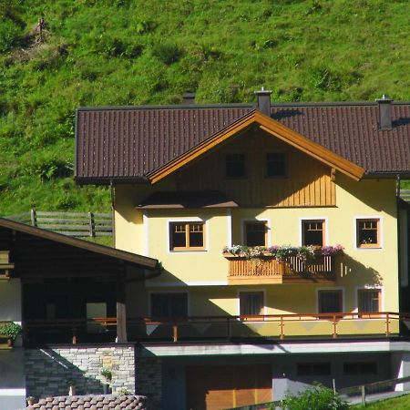 Ferienwohnung Viehhauser Hüttschlag エクステリア 写真