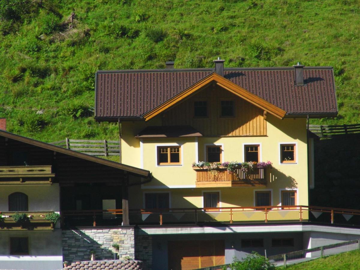 Ferienwohnung Viehhauser Hüttschlag エクステリア 写真